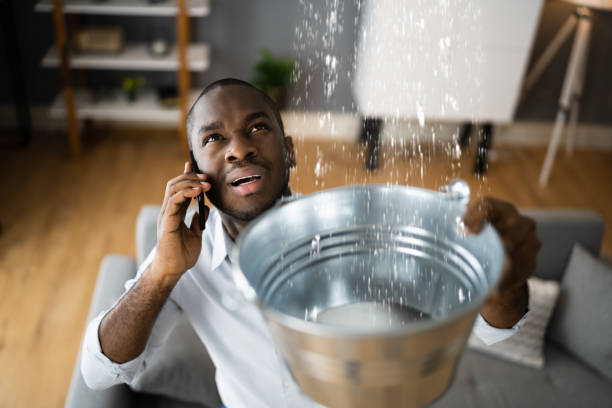 Best Professional water damage repair  in Chevy Chase Village, MD