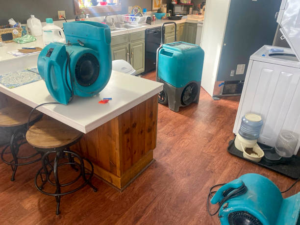 Best Local water damage restoration  in Chevy Chase Village, MD