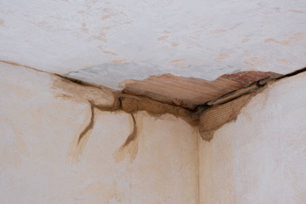 Best Water damage restoration near me  in Chevy Chase Village, MD