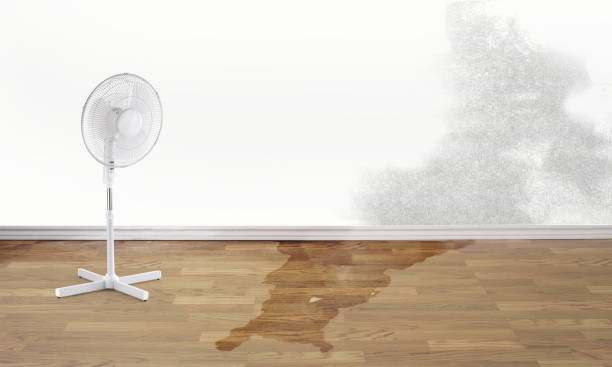 Best Sewage cleanup and water damage restoration  in Chevy Chase Village, MD