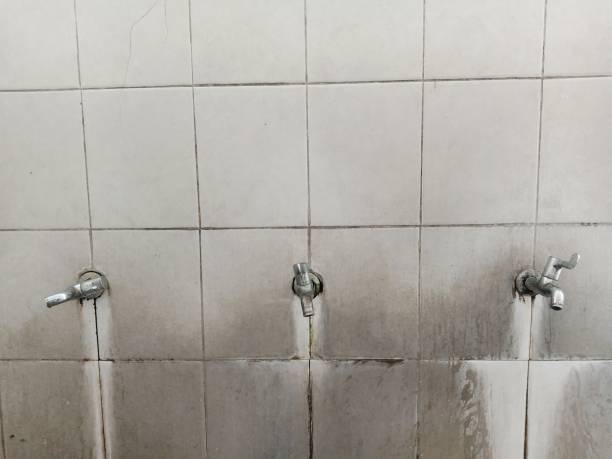 Best Water damage cleanup near me  in Chevy Chase Village, MD