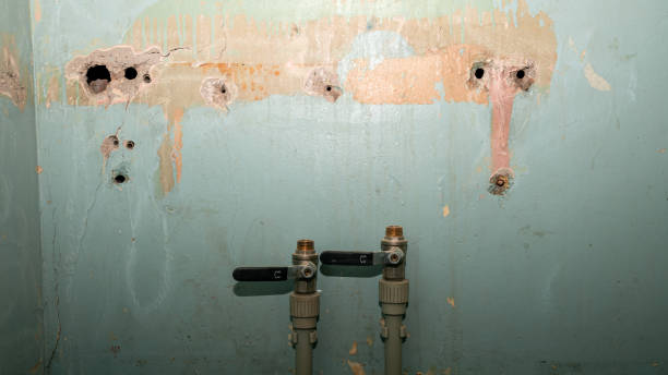 Best Flood restoration services  in Chevy Chase Village, MD