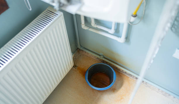 Best Ceiling water damage repair  in Chevy Chase Village, MD
