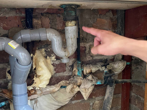 Best Water damage cleanup near me  in Chevy Chase Village, MD